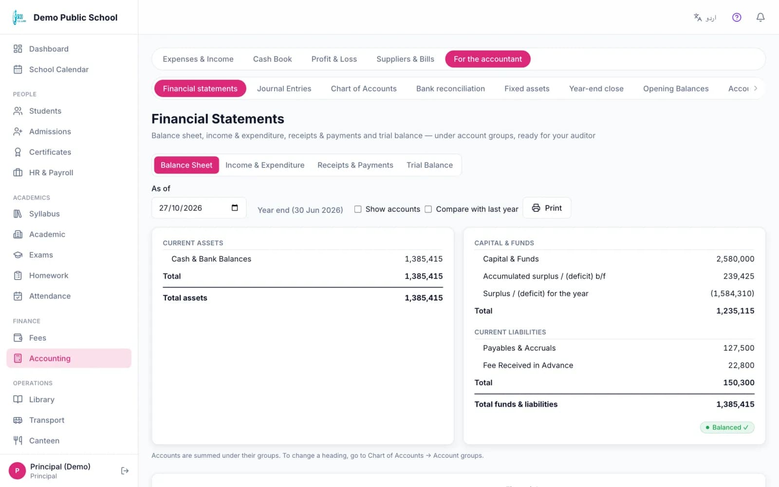 Skoo financial statements page with a balance sheet grouped under account headings